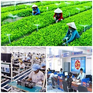 Chỉ đạo, điều hành của Chính phủ, Thủ tướng Chính phủ nổi bật tuần từ 7-11/10/2019